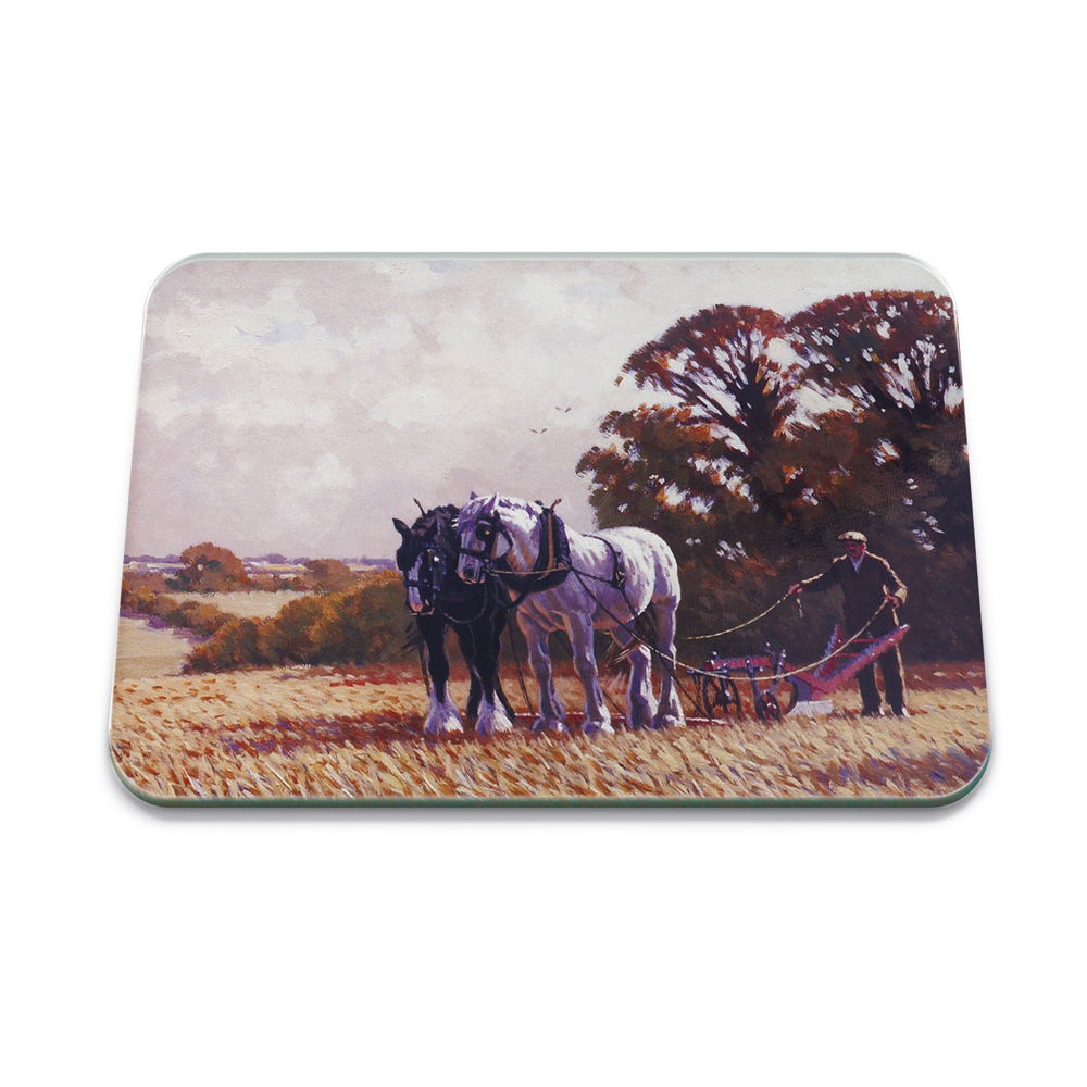 COUNTRY LIFE WALK ON MEDIUM GLASS WORKTOP PROTECTOR 40 X 30CM