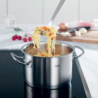 ORIGINAL-PROFI COLLECTION STEW POT 24CM WITH METAL LID   