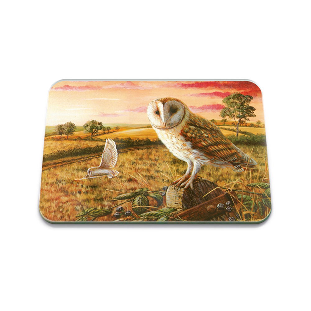 OWL 40 x 30CM MEDIUM GLASS WORKTOP PROTECTOR