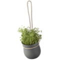 GROW IT HERB POT  GREY