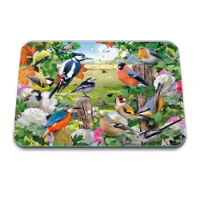 BRITISH BIRDS GLASS BOARD LGE