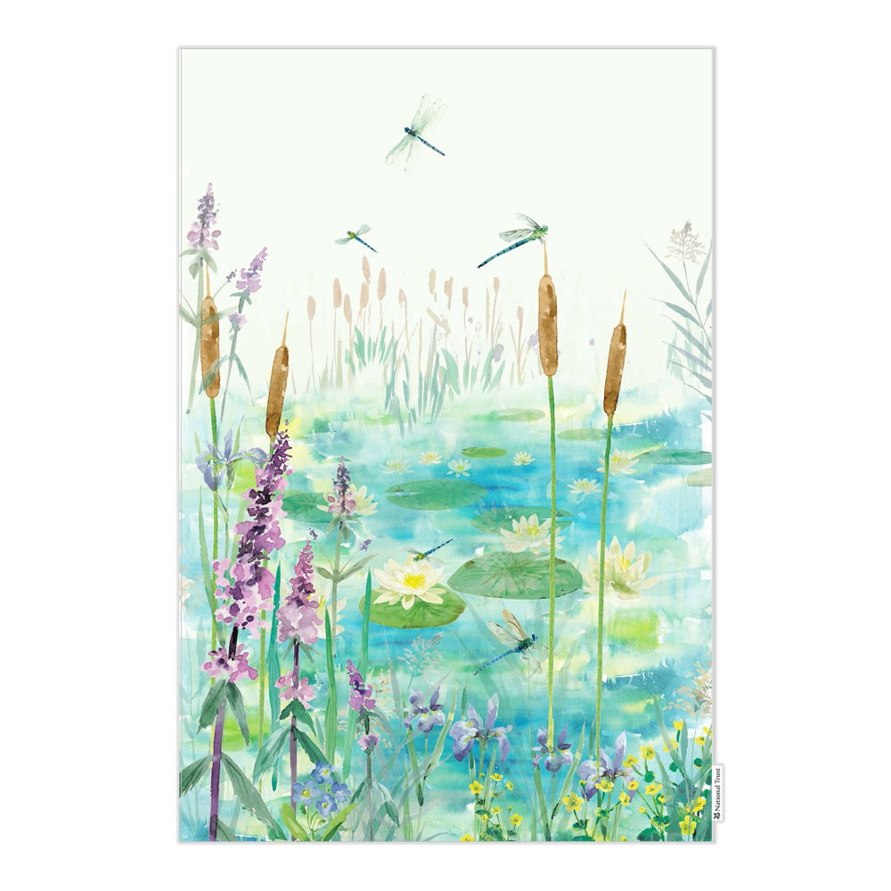 NATIONAL TRUST DRAGONFLIES ORGANIC COTTON SINGLE TEA TOWEL