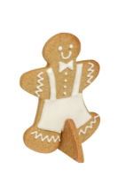 GINGERBREAD HOUSE BISCUIT SET 20PC