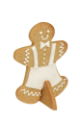 GINGERBREAD HOUSE BISCUIT SET 20PC