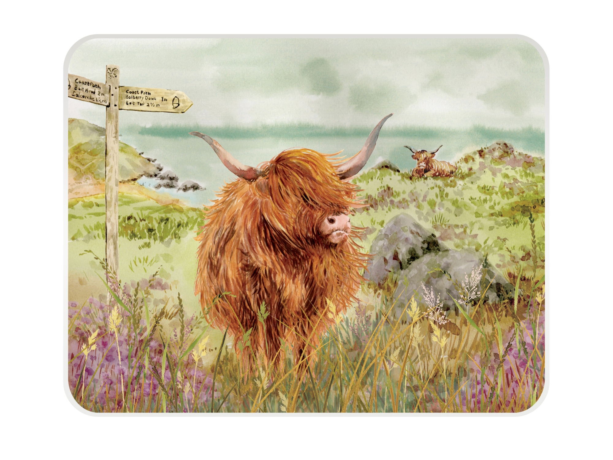 #NT HIGHLAND CATTLE MED WORKTOP PROTECTOR(CL)