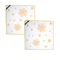 MICROFIBRE CLOTHS PACK OF 2