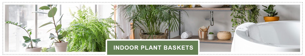 Indoor Plant Pots