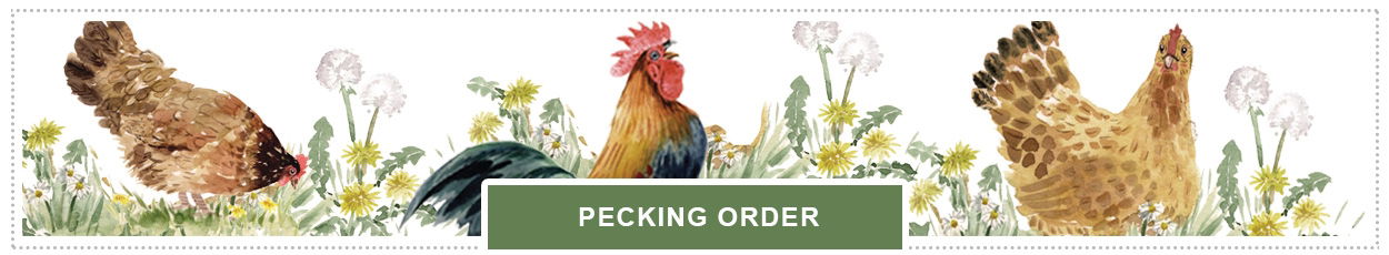 Pecking Order