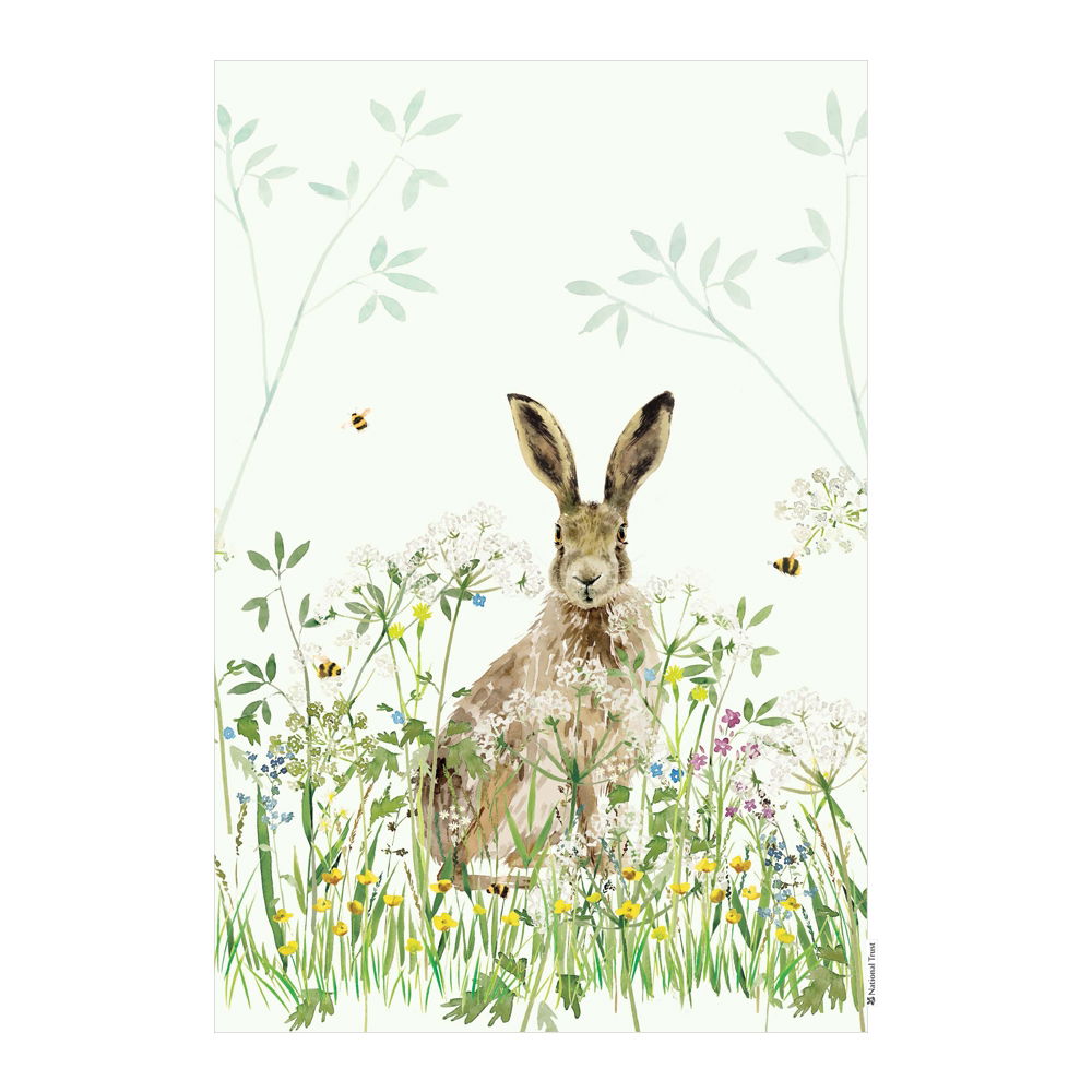 NATIONAL TRUST HARE ORGANIC COTTON SINGLE TEA TOWEL