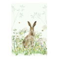 NATIONAL TRUST HARE ORGANIC COTTON SINGLE TEA TOWEL