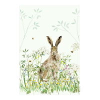 NATIONAL TRUST HARE ORGANIC COTTON SINGLE TEA TOWEL