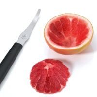 GRAPEFRUIT KNIFE   MOULDED