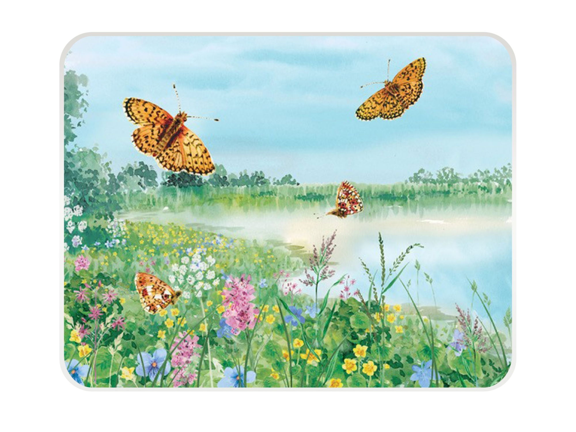 #NT BORDER FRITILLARY BUTTERFLY MED WORKTOP PROTECTOR(CL)