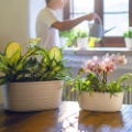 MILK WHITE SMALL MULTIPLE PLANT POT HOLDER