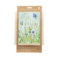 NATIONAL TRUST BUTTERFLY PLANT BASED CLEANING CLOTH SET OF 2