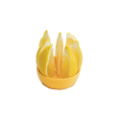 CITRUS KEEPER YELLOW & GREEN DISPLAY OF 8