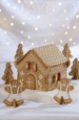 GINGERBREAD HOUSE BISCUIT SET 20PC