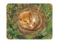 #NT DORMOUSE MED WORKTOP PROTECTOR(CL)