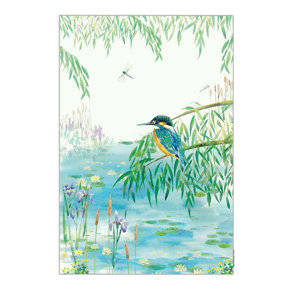 NATIONAL TRUST KINGFISHER ORGANIC COTTON SINGLE TEA TOWEL