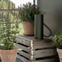 BLOOM WATERING CAN PINE GREEN