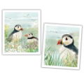 NATIONALTRUST PUFFIN PLANT BASED CLEANING CLOTHS SET OF 2