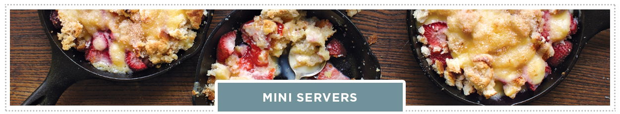 Mini Servers