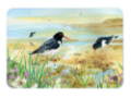 NATIONAL TRUST OYSTER CATCHER MEDIUM WORKTOP PROTECTOR