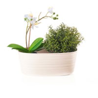 MILK WHITE SMALL MULTIPLE PLANT POT HOLDER