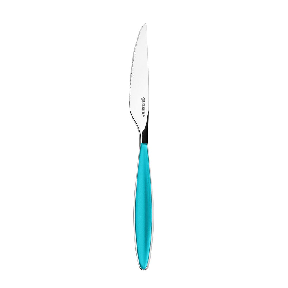 FEELING TURQUOISE STEAK KNIFE FEELING (STAINLESS STEEL-ABS)