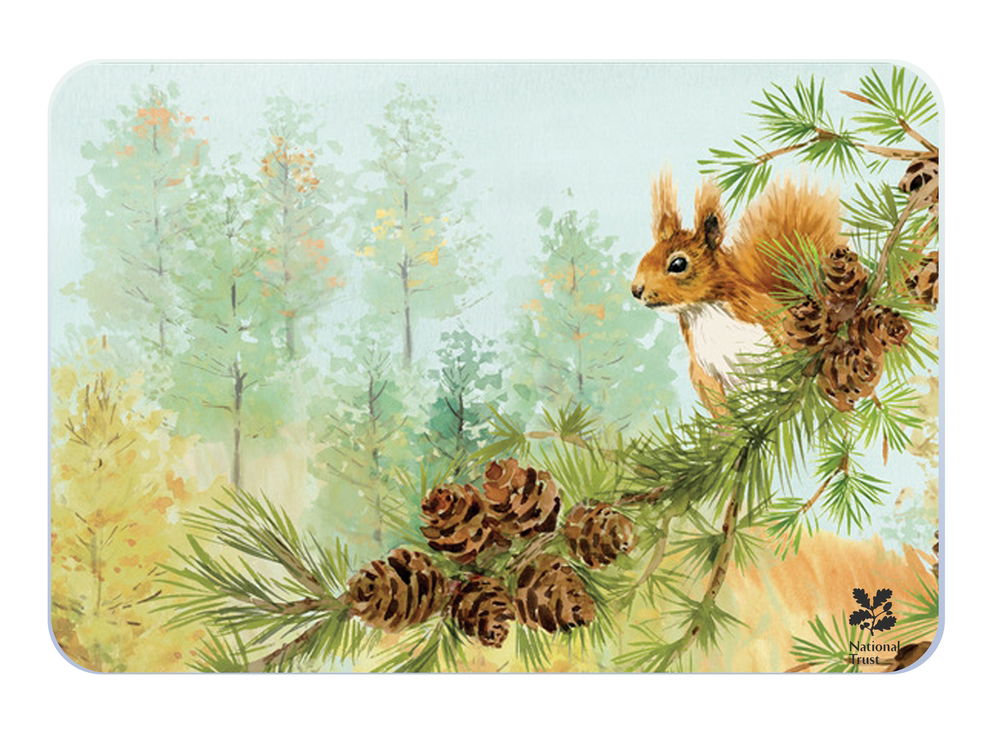 NATIONAL TRUST  RED SQUIRREL MEDIUM WORKTOP PROTECTOR