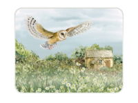 #NT BARN OWL MED WORKTOP PROTECTOR(CL)