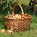 STANDARD COOKERY HAND BASKET