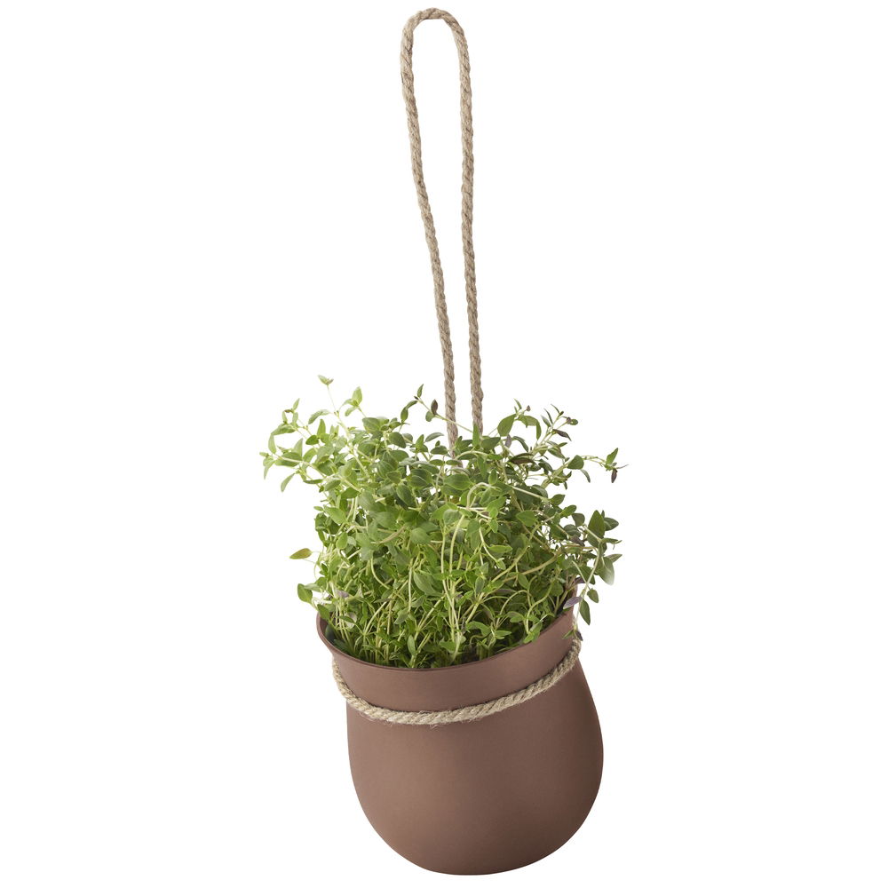 GROW IT HERB POT TERRACOTTA