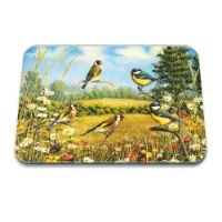 BRITISH BIRDS 50 x 40CM LARGE GLASS WORKTOP PROTECTOR