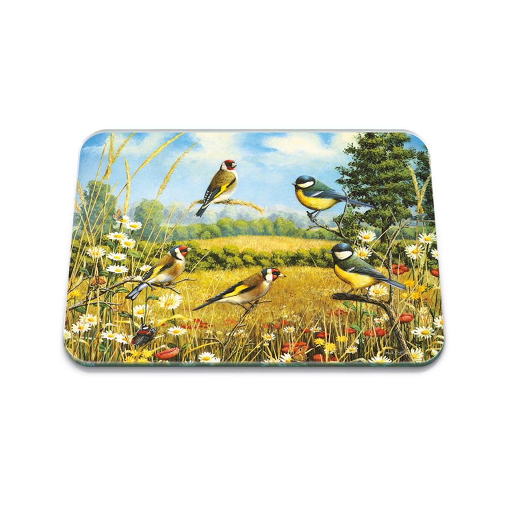 BRITISH BIRDS 40 x 30CM MEDIUM GLASS WORKTOP PROTECTOR