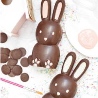 3D CHOCO MOULD RABBIT