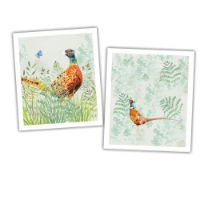 NATIONAL TRUST PHEASANT ECO CLOTH SET OF 2